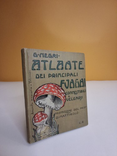 Atlante dei principali funghi