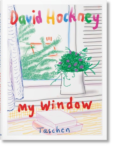 David hockney window - david,